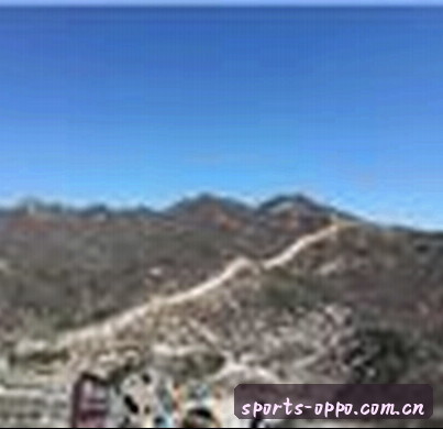 陈总